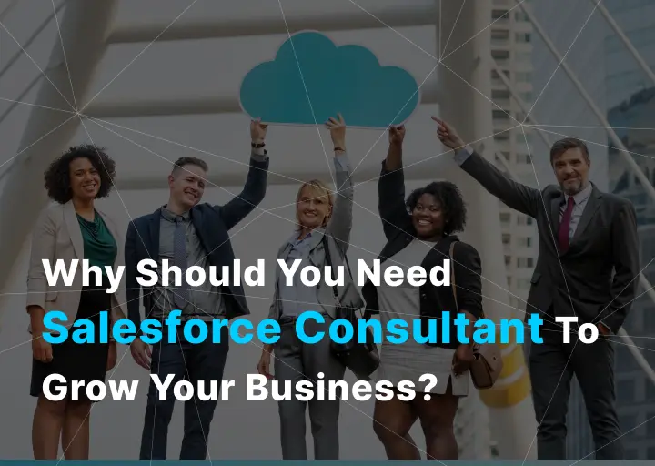 Salesforce Consultant
