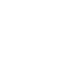 Experienced Team