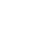 icon1 icon1